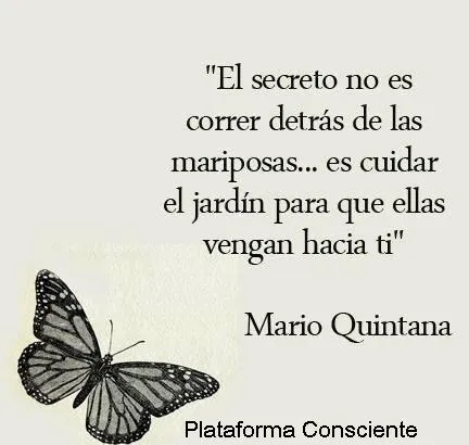 Frases | PLATAFORMA CONSCIENTE | Page 7