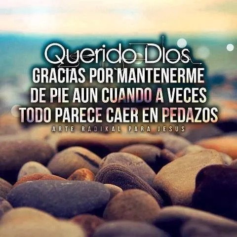 Todo En Frases: Querido Dios Gracias Por Mantenerme De Pie