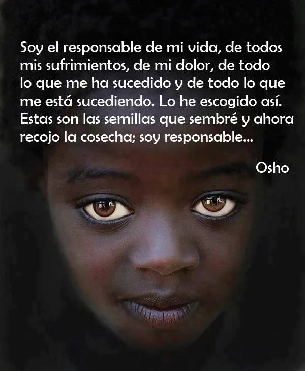 FRASES DE REFLEXION: Soy el responsable de mi vida, de todos mis ...