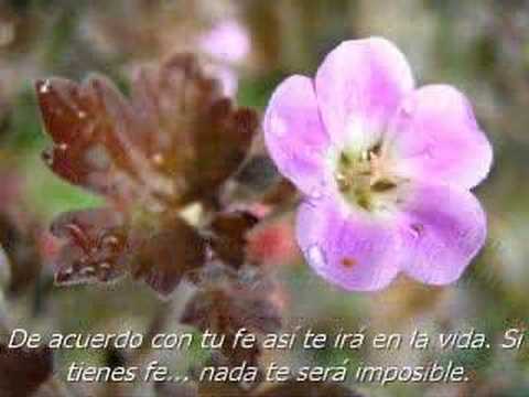 FRASES PARA REFLEXIONAR - YouTube