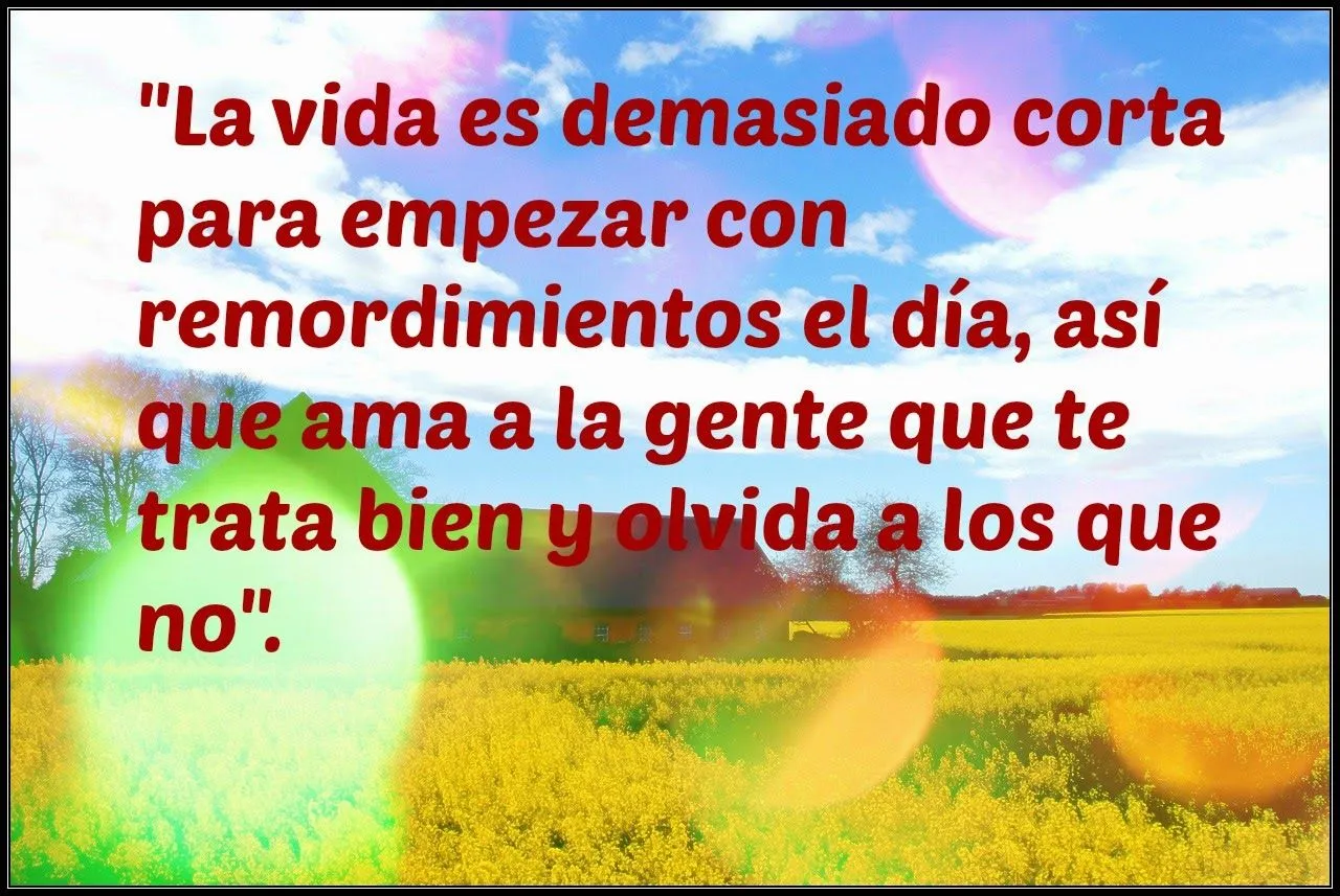 Frases de Reflexiones de Vida Imágenes y Frases de Motivación