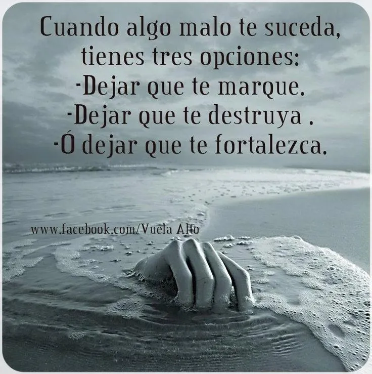 frases | Sabiduria | Pinterest