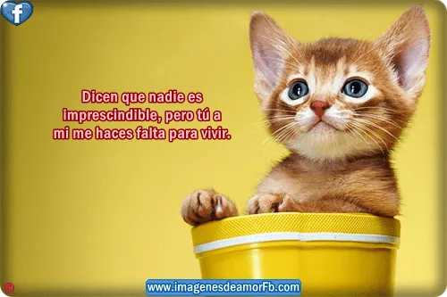 Imágenes con frases de ternura ~ Imagenes de amor con frases para ...