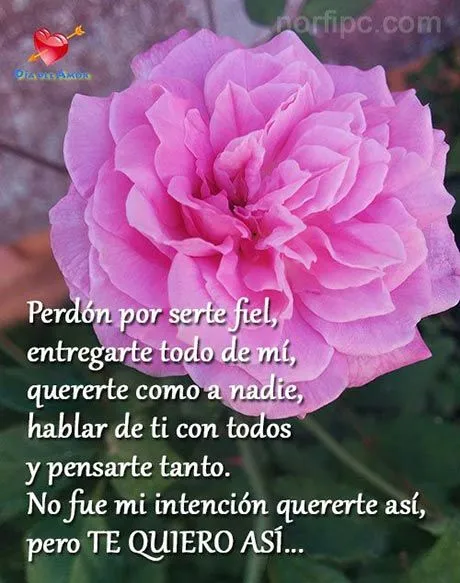 Frases y versos para el Día del Amor