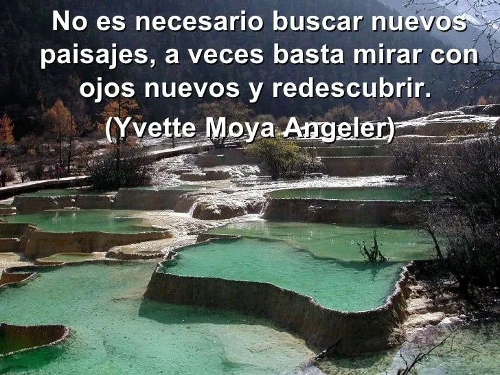 frases-y-pensamientos- ...