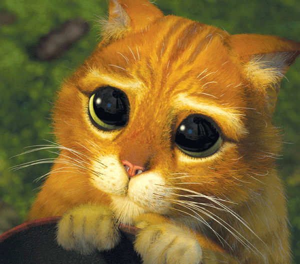 Fred funny: GIFs animados