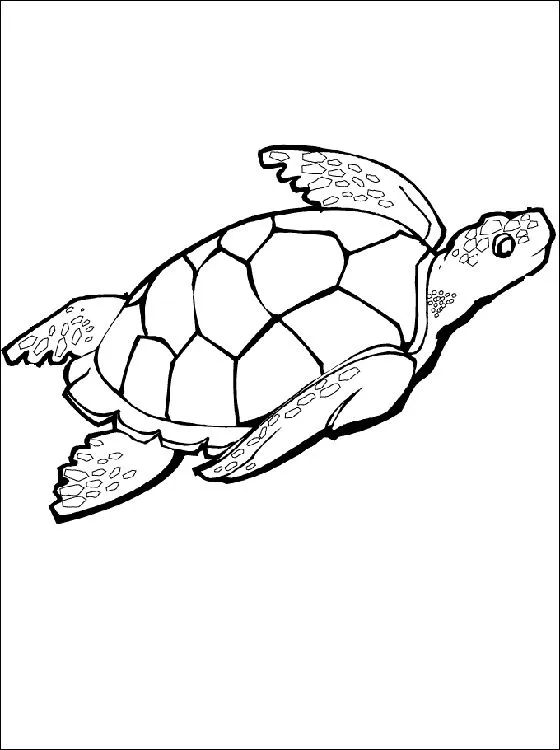 Free Black And White Sea Turtle Clipart - ClipArt Best