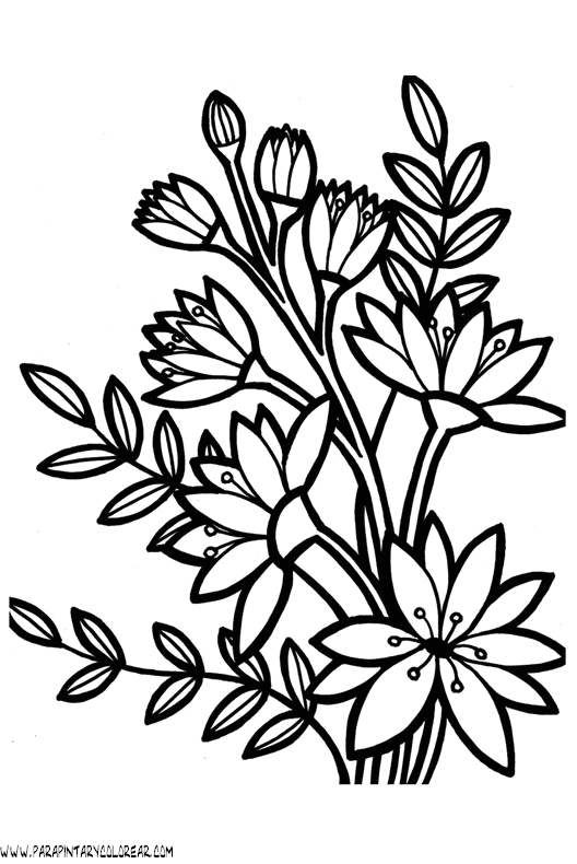 Free coloring pages of rosas rojas