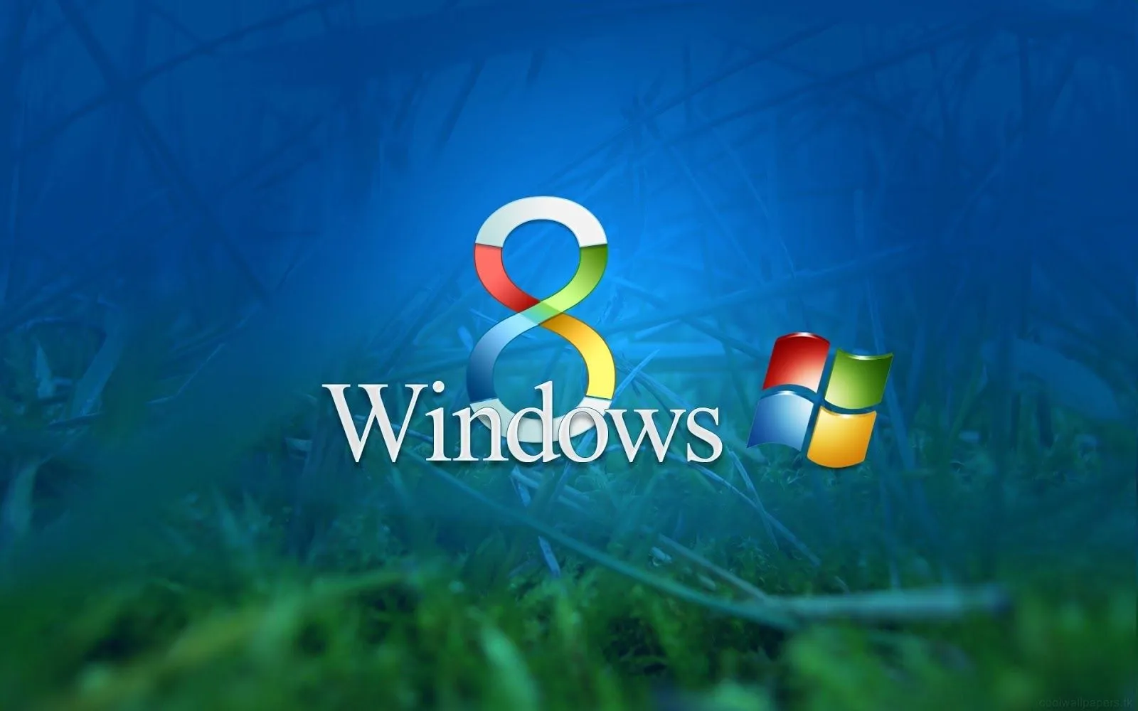 Free HD Windows 8 Wallpaper 50 | Top Backgrounds Wallpapers for XP ...