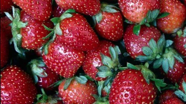 Las fresas, un escudo contra los ataques al corazón en las mujeres ...