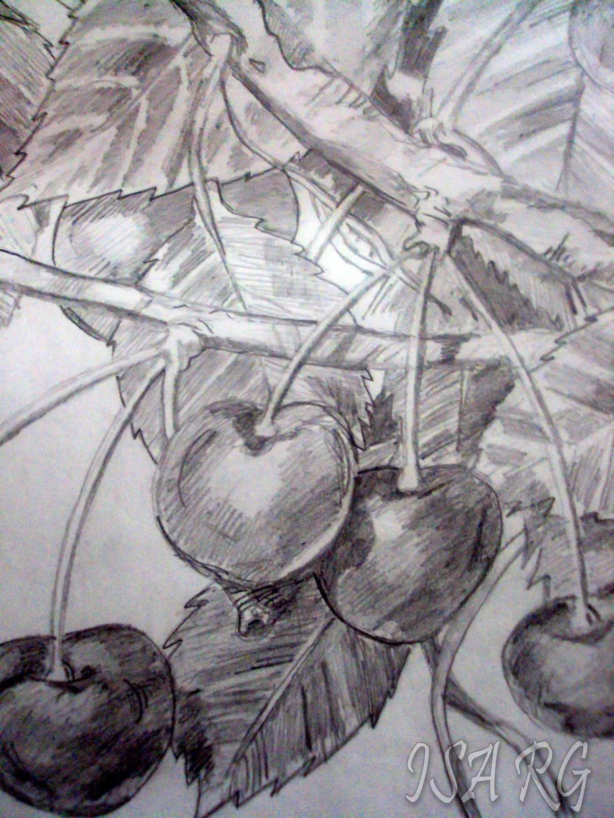 FRUTA (DIBUJO) | Pruebas2