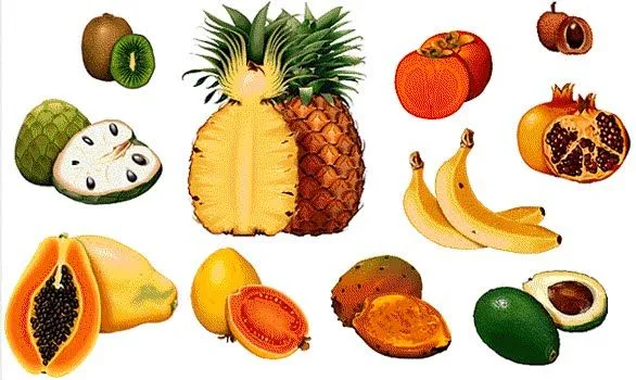 las frutas tropicales