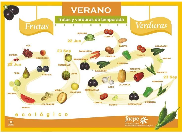 Frutas y verduras de verano. | LENGUAJE: VOCABULARIO | Pinterest