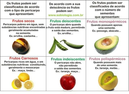 Frutos e sementes