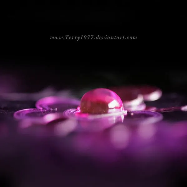 Fucsia by *Terry1977 on deviantART