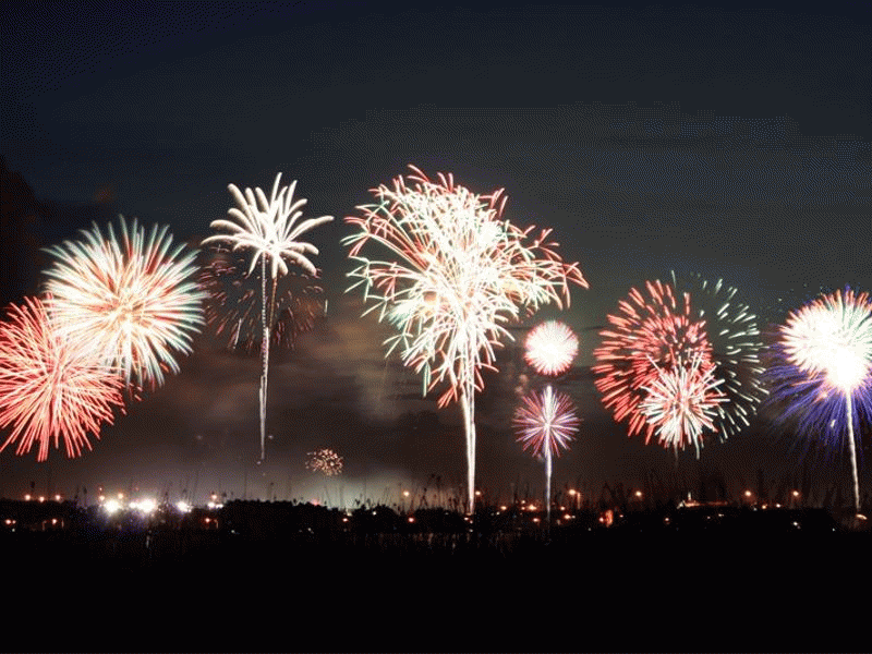 Fuegos artificiales | Fotos de naturaleza, animales, paisajes ...