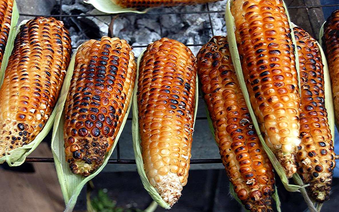 Que funcion tienen los pelos del elote?? - Taringa!