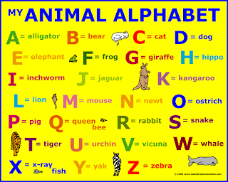 Funny animals: Animal Alphabet