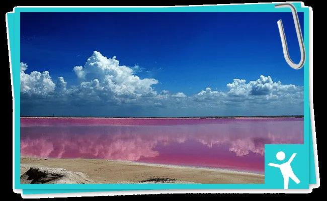 Fusión Educativa | Información de Intéres