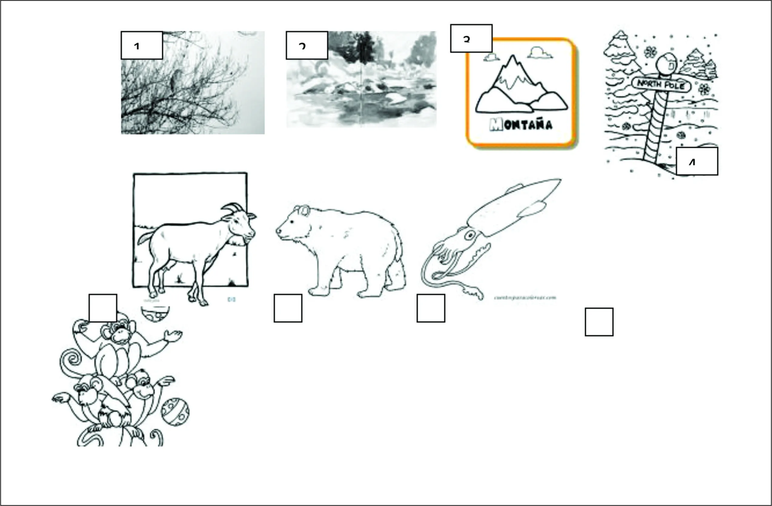 Dibujos para colorear de las caracteristicas de los seres vivos ...