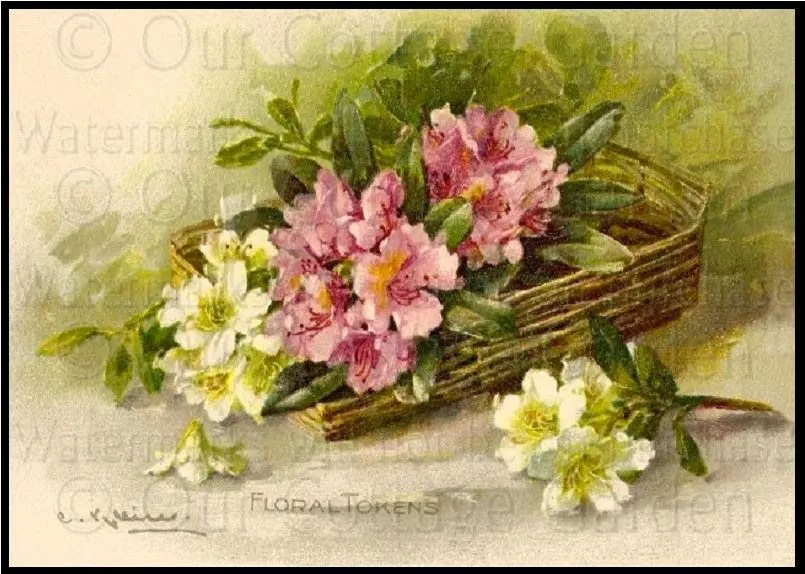 Gaceta Virtual: GACETA LITERARIA Nº 101– MAYO de 2015– Año IX – Nº 5