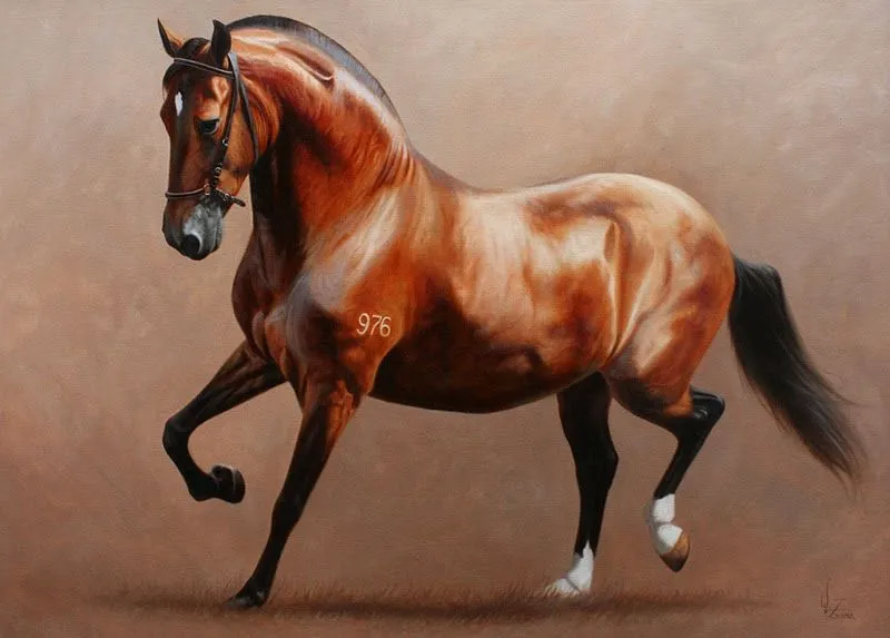 GALERIA: CABALLOS REALISTAS AL OLEO | Pinturas al Óleo