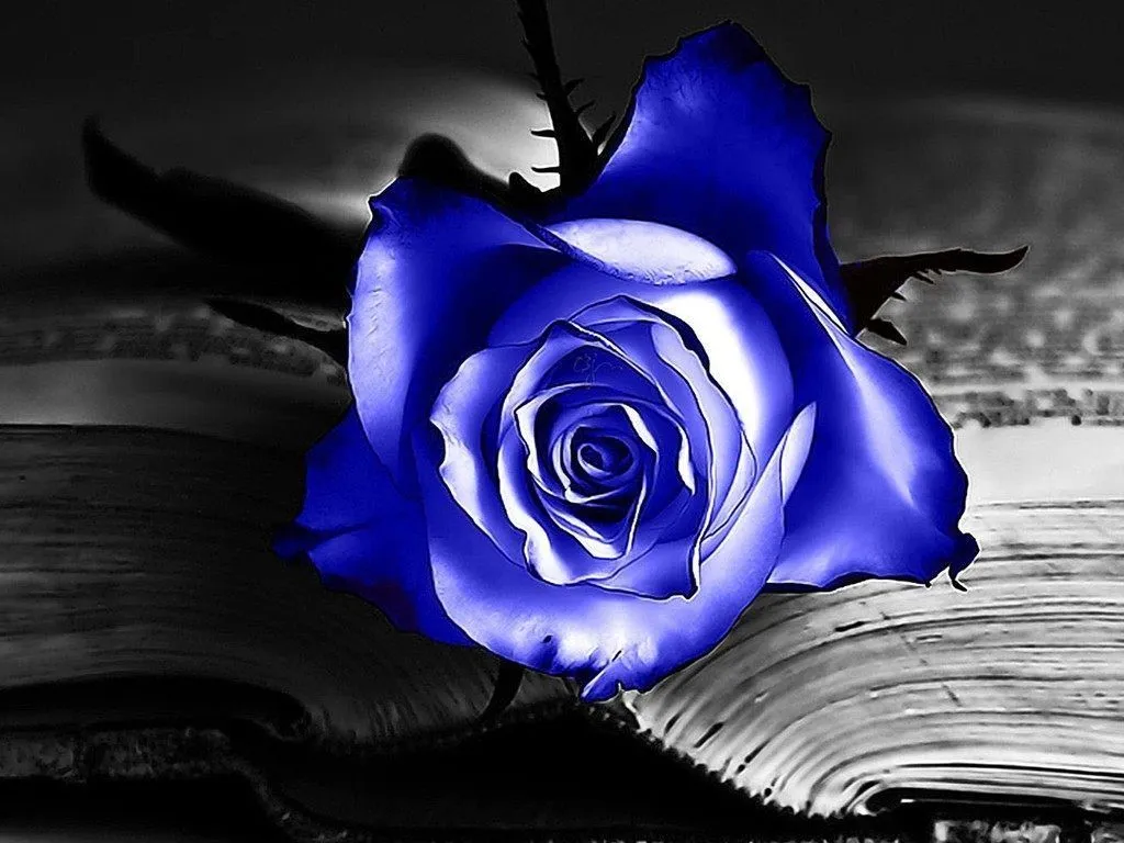 Rosas azules