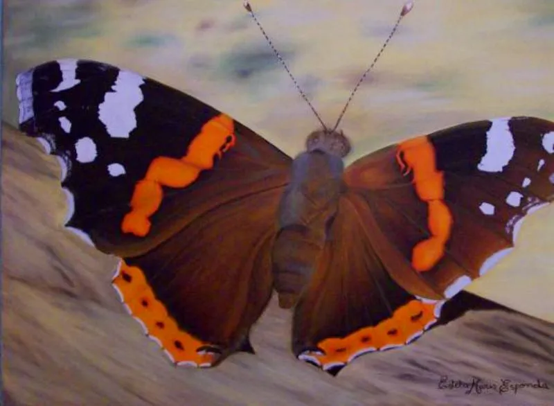 GALERIA: MARIPOSAS AL ÓLEO | Arte Pinturas al Óleo