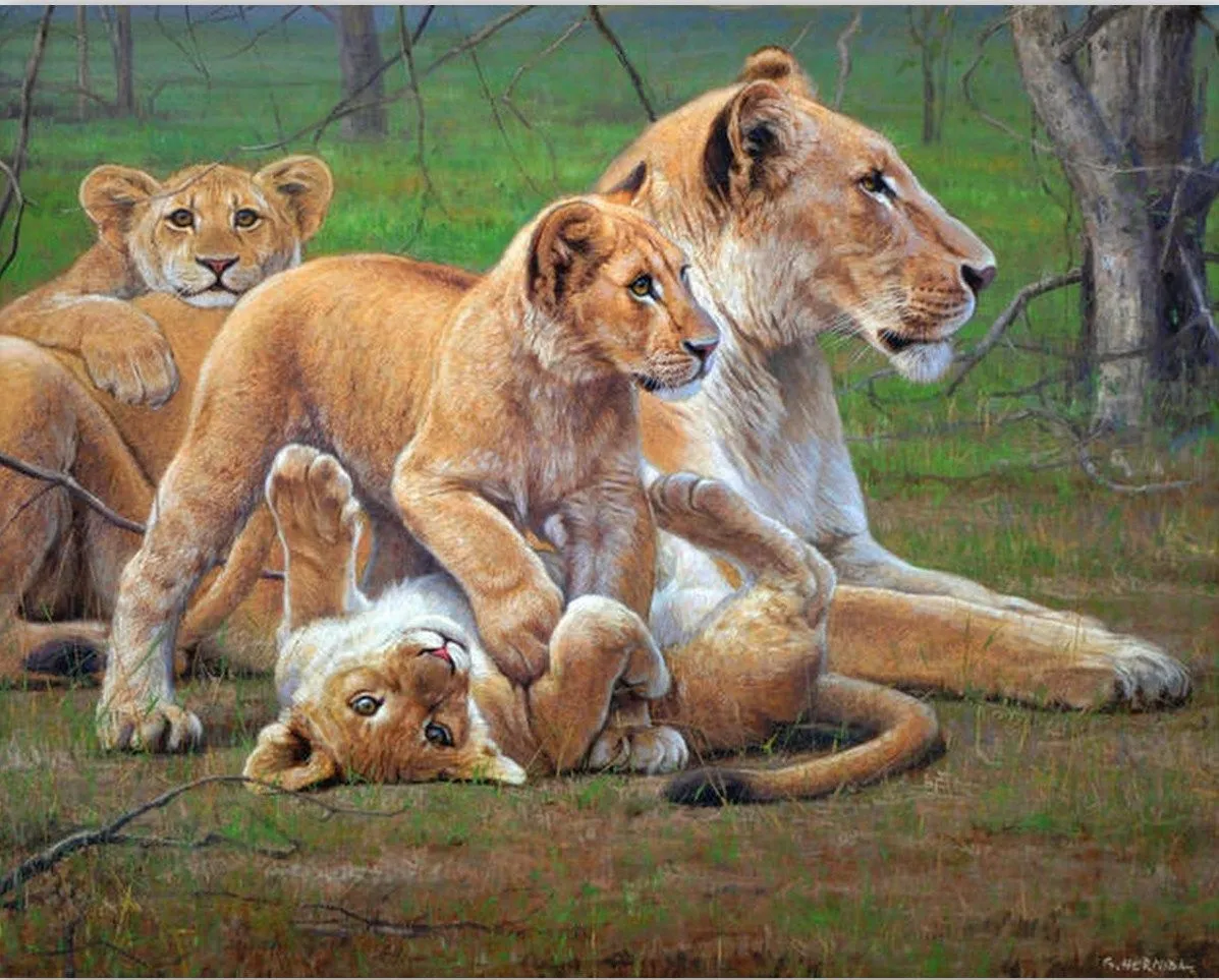 Galería pinturas al óleo de leones | Pinturas al Óleo