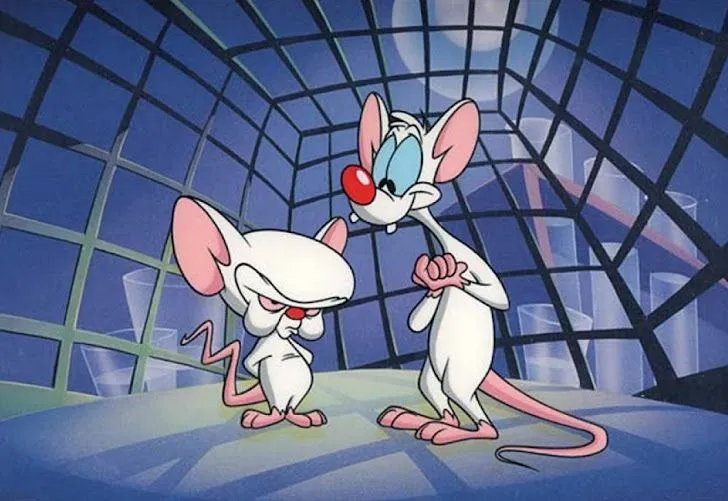 Gallery For > Pinky Y Cerebro Español