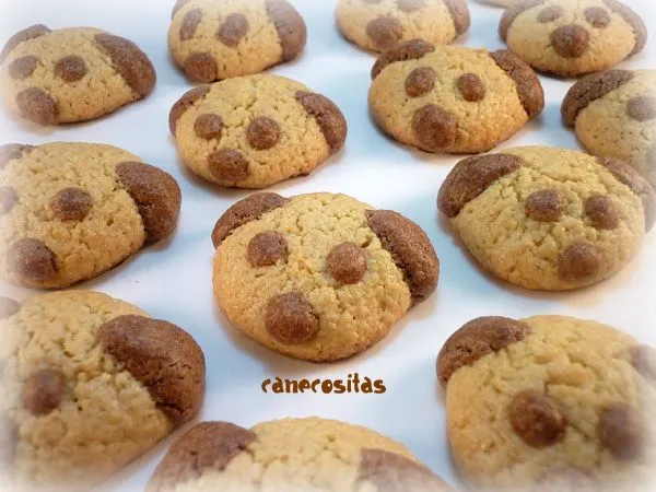 Galletas perro - Recetariocanecositas.