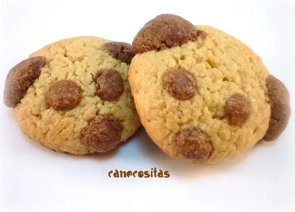 Galletas perro - Recetariocanecositas.