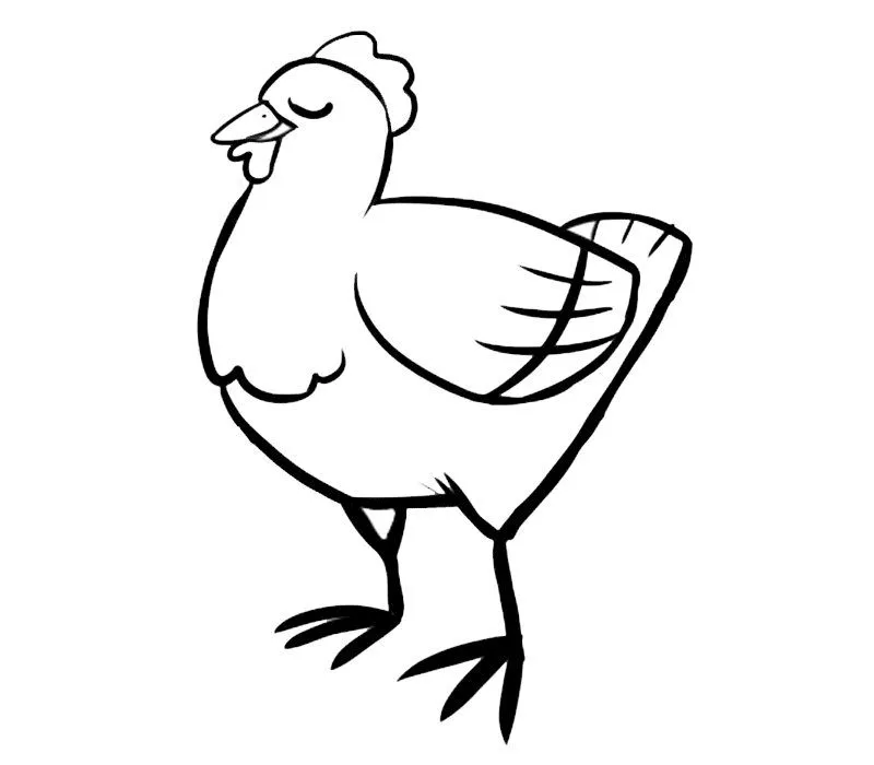 Gallina: Dibujos para colorear