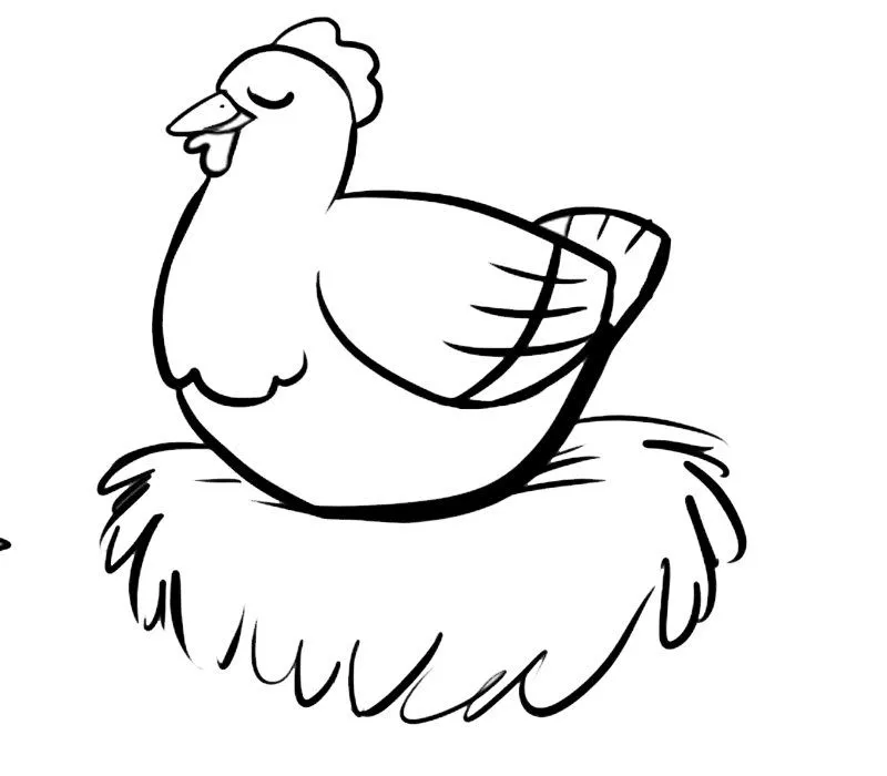 Gallina en el nido: Dibujos para colorear