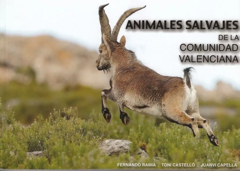 El Gallipato Alcublano: Animales Salvajes de la Comunidad Valenciana