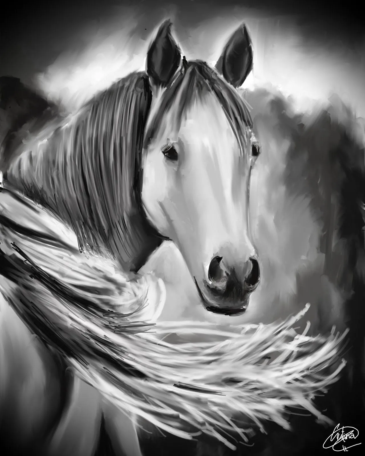 ๋• GaMuSíNiCa ●๋•: Imagen final // Caballo en Blanco y Negro