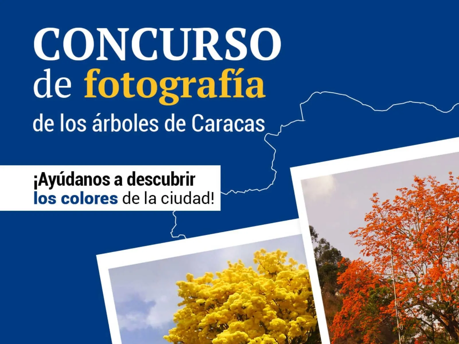 Ganadores del premio Mejor Fotografía en el concurso “Ayúdanos a descubrir  los colores de la ciudad”