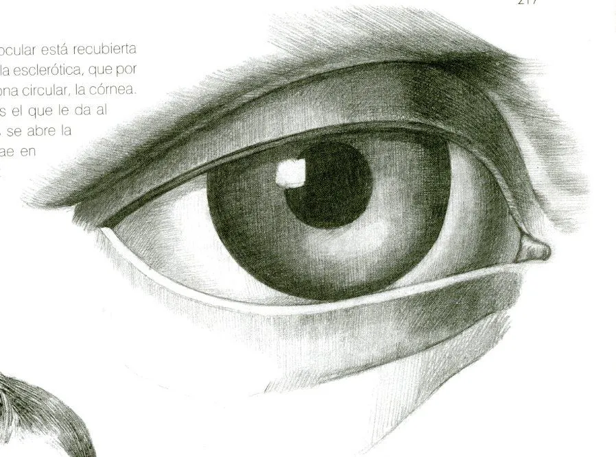 Garabateando: EL RETRATO