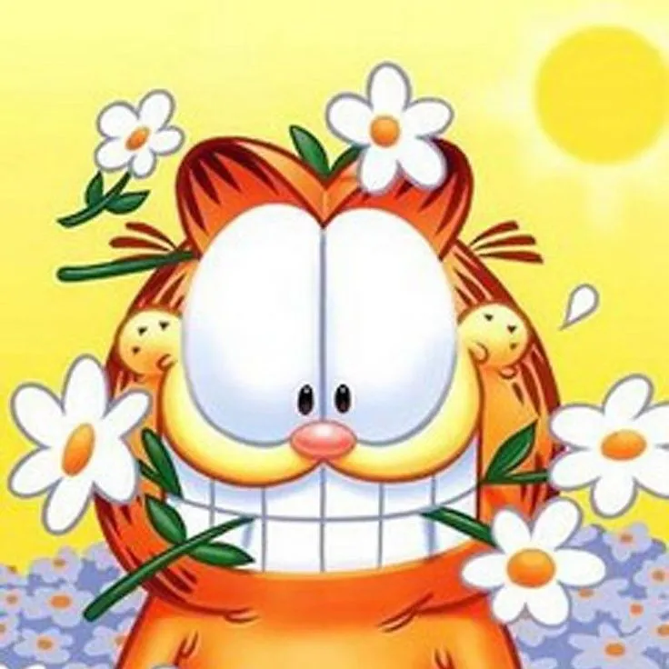 Garfield by Jim Davis (creator) on Pinterest | 769 Pins