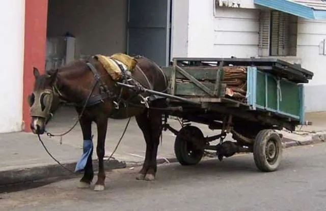 Gasparache.com: CARRETAS TIRADAS CABALLOS PROCESO EXTINCIÓN