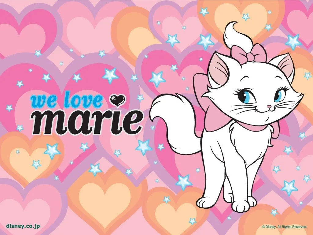 Gatita marie wallpaper - Imagui