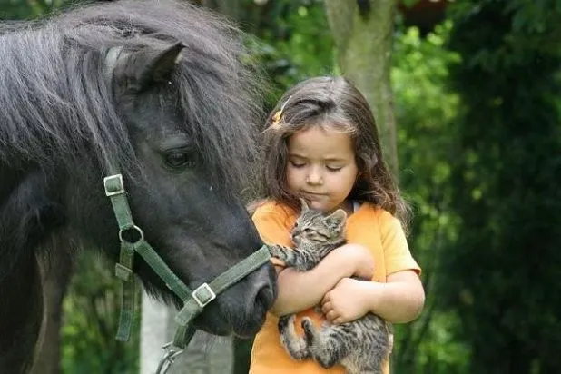 Gatito y perrito muy tiernos