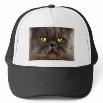 Gatito persa gorro de camionero por Squealia