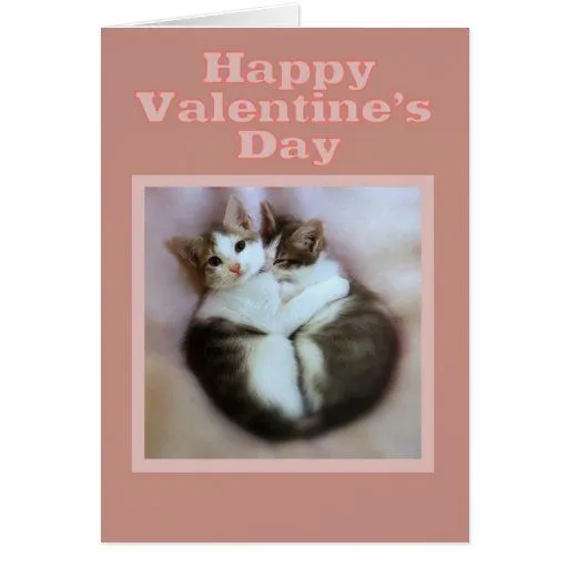 Gatitos en el día de San Valentín feliz del amor Tarjetón de Zazzle.