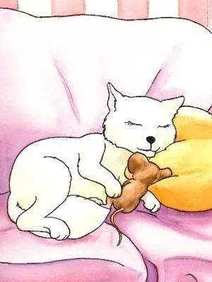 El gato | Autores de Cuentos