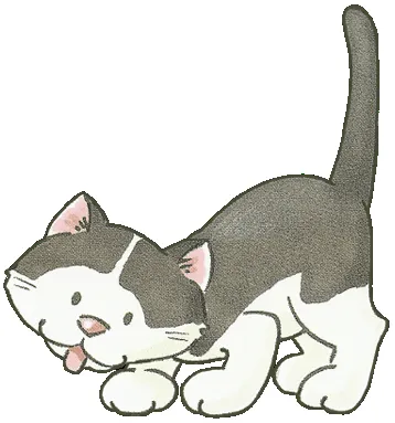 gato blanco y negro en dibujo gatos para imprimir gato