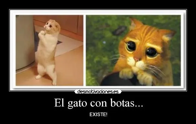 El gato con botas... | Desmotivaciones