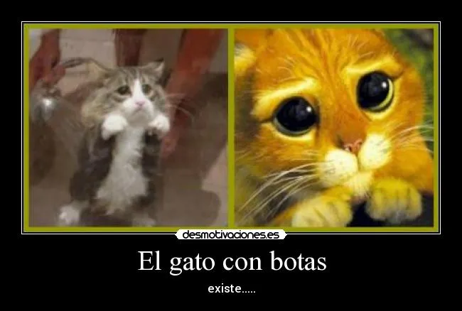 El gato con botas | Desmotivaciones