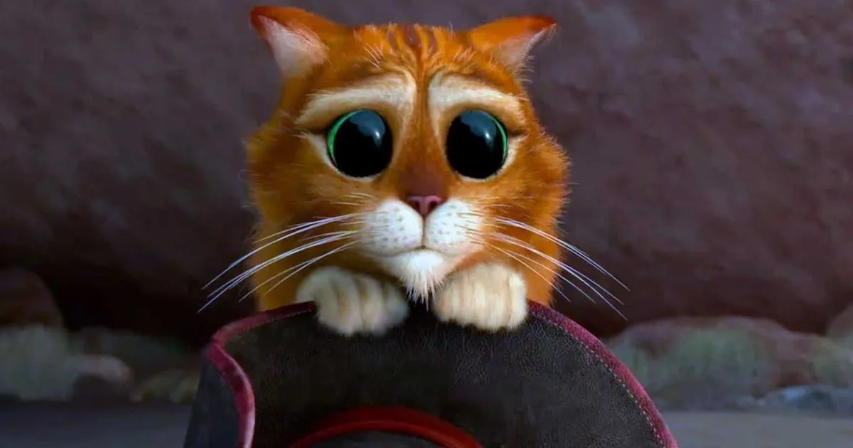 Gato con botas de Shrek tiene un doble en la vida real que es viral en rede | La FM