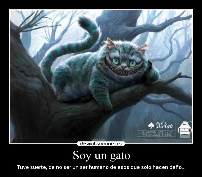 Soy un gato | Desmotivaciones